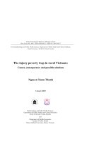 the injury poverty trap in rural vietnam causes, consequences and possible solutions