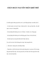 CHẨN ĐOÁN NGUYÊN NHÂN KHÓ THỞ docx