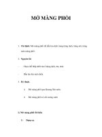 MỞ MÀNG PHỔI pot