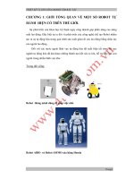 Thiết kế điều khiển Robot tìm báu vật