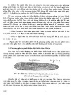 Advanced Biology - Lý Thuyết Di Truyền, Di Truyền Phân Tử Phần 5 docx