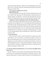 Luận văn : PHÂN TÍCH ĐA DẠNG DI TRUYỀN MỘT SỐ MẪU NẤM Corynespora cassiicola (Berk. & Curt.) Wei GÂY BỆNH TRÊN CÂY CAO SU (Hevea brasiliensis Muell. Arg.) BẰNG PHƯƠNG PHÁP RFLP – PCR part 4 potx