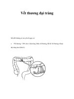 Vết thương đại tràng ppsx