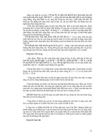 Luận văn tốt nghiệp: Tìm hiểu về xuất khẩu hàng hóa phần 3 docx