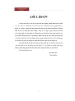 Chuyển gen qua con đường tế bào, Vectơ dùng bổ sung gen