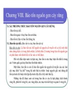 Bài giảng giống cây rừng : Bảo tồn nguồn gen cây rừng part 2 pptx