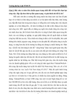 hãy nêu ra năm tiêu chuẩn quan trọng nhất đối với bạn khi chọn lựa công việc. sắp xếp theo thứ tự tầm quan trọng, và giải thích chi tiết lý do