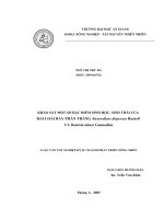 Luận văn : KHẢO SÁT MỘT SỐ ĐẶC ĐIỂM SINH HỌC, SINH THÁI CỦA HAI LOÀI RẦY PHẤN TRẮNG Aleurodicus dispersus Russell VÀ Bemisia tabaci Gennadius part 1 pot