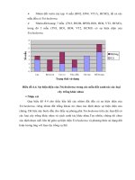 Luận văn : BƯỚC ĐẦU KHẢO SÁT MỐI LIÊN HỆ GIỮA SỰ HIỆN DIỆN Trichoderma VÀ CÁC YẾU TỐ CỦA ĐẤT part 5 ppt