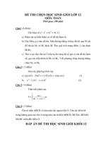 ĐỀ THI CHỌN HỌC SINH GIỎI LỚP 12 MÔN: TOÁN - đề 4 pps