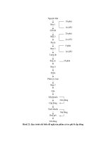 Luận văn : KHẢO SÁT ẢNH HƯỞNG CỦA NHIỆT ĐỘ VÀ THỜI GIAN SƠ CHẾ, XỬ LÝ ĐẾN CHẤT LƯỢNG CÁ TRA PHI LÊ CẤP ĐÔNG TẠI XNCBTSXK CATACO part 8 potx