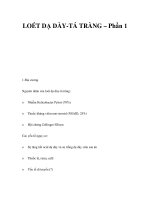 LOÉT DẠ DÀY-TÁ TRÀNG – Phần 1 doc