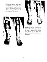 Đề tài : Thử nghiệm lâm sàng màng sinh học Vinachitin part 4 doc