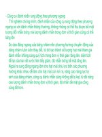 Bài giảng nguyên lý cắt gọt gỗ : Nguyên lý và công cụ đánh nhẵn part 6 pps