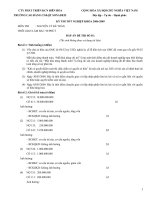 Đề thi tốt nghiệp chuyên ngành kế toán - Đề số 1 pptx