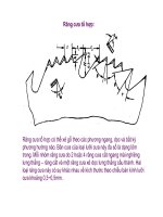 Bài giảng nguyên lý cắt gọt gỗ : Nguyên lý và công cụ xẻ gỗ part 3 docx