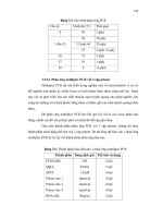 Luận văn : XÂY DỰNG PHƯƠNG PHÁP NHẬN DIỆN VÀ PHÂN TÍCH TÍNH ĐA DẠNG DI TRUYỀN CỦA 21 DÒNG CACAO (THEOBROMA CACAO L.) BẰNG KỸ THUẬT MICROSATELLITE part 6 docx