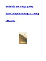 Nhiễu điều phủ lấy giá gương pot