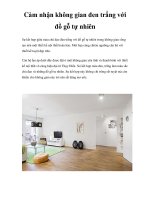 Cảm nhận không gian đen trắng với đồ gỗ tự nhiên docx