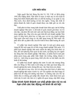 Giáo trình hình thành cơ chế phân tán rủi ro và hạn chế các tác động về kinh tế xã hội p1 potx