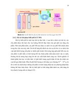 Luận văn : Khảo sát các phương pháp chiết xuất, thành phần hoá học và tính chất hoá lý của tinh dầu hoa lài Jasminum sambac L. trồng tại An Phú Đông, quận 12 Tp.HCM part 3 ppt