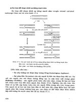 Advanced Biology - Lý Thuyết Di Truyền, Di Truyền Phân Tử Phần 9 doc