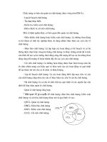 Luận văn tốt nghiệp: Biện pháp quản lý chất lượng sản phẩm cùa các DNCN Việt Nam phần 3 doc