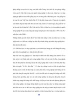 Phát triển Khoa học công nghệ làm cơ sở hạ tầng cho Công nghiệp hoá hiện đại hóa -7 pdf