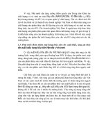 Luận văn tốt nghiệp: Việt Nam và những biện pháp để đẩy mạnh việc xuất khẩu sang các nước EU phần 9 docx