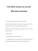 Giải thích cái đau của các dây thần kinh autonomic ppt