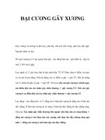 ĐẠI CƯƠNG GÃY XƯƠNG potx