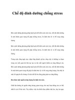 Chế độ dinh dưỡng chống stress ppt