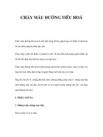 CHẢY MÁU ĐƯỜNG TIÊU HOÁ ppsx