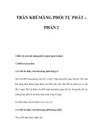 TRÀN KHÍ MÀNG PHỔI TỰ PHÁT – PHẦN 2 pps