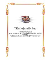 Tiểu luận triết học: Vận dụng lý luận HTXH ppsx