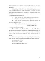 Luận văn : KHẢO SÁT CÁC YẾU TỐ ẢNH HƯỞNG ĐẾN CHẤT LƯỢNG BÁNH MÌ NGỌT part 4 pot