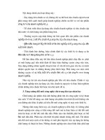 Luận văn tốt nghiệp: Biện pháp quản lý chất lượng sản phẩm cùa các DNCN Việt Nam phần 8 pdf