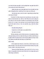 Đề tài : Nghiên cứu tổng hợp các mô hình sản phẩm mộc thuộc nhóm ghế phòng ăn theo hệ thống tạo dáng part 6 doc