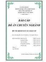 Đề tài: Khảo sát các loại cáp pptx