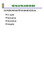 Bài giảng : Điều tra, dự tính, dự báo sâu bệnh part 6 pptx