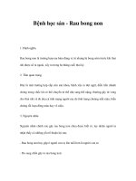 Bệnh học sản - Rau bong non pps