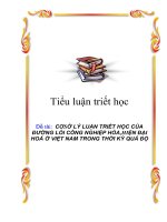 Tiểu luận triết học: Cơ sở lí luận triết học của quá trình CNH - HĐH theo định hướng XHCN ở VN ppsx
