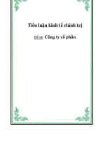 Tiểu luận kinh tế chính trị: Cty cổ phần pdf