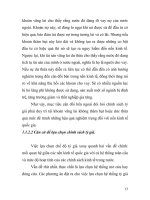 Giáo trình triển vọng thay đổi chính sách tỷ giá của trung quốc và tác động có thể ảnh hưởng đến việt nam p2 ppt