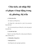 Chia tách, sát nhập Hội có phạm vi hoạt động trong xã, phường, thị trấn ppsx