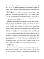 Luận văn tốt nghiệp : Quá trình hình thành và thực trạng của hình thức cầu tiền phần 2 pps