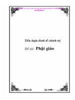 Tiểu luận triết học: Phật giáo docx