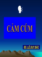 TÌM HIỂU VỀ CẢM CÚM VÀ PHƯƠNG HƯỚNG ĐIỀU TRỊ potx