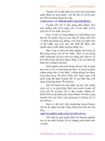 Kỹ thuật sử dụng animation ripple của đối tượng trong thủ thuật làm movie p10 pps