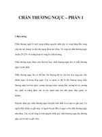 CHẤN THƯƠNG NGỰC – PHẦN 1 ppsx